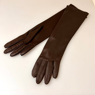 Shiny Brown Gloves