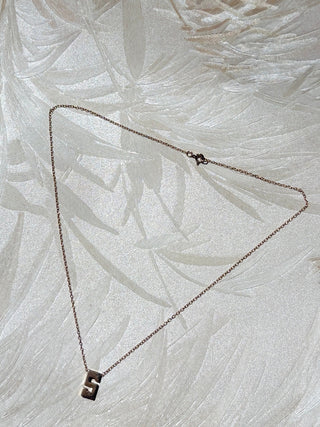 Chain "S" Necklace
