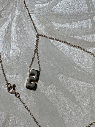 Chain "S" Necklace